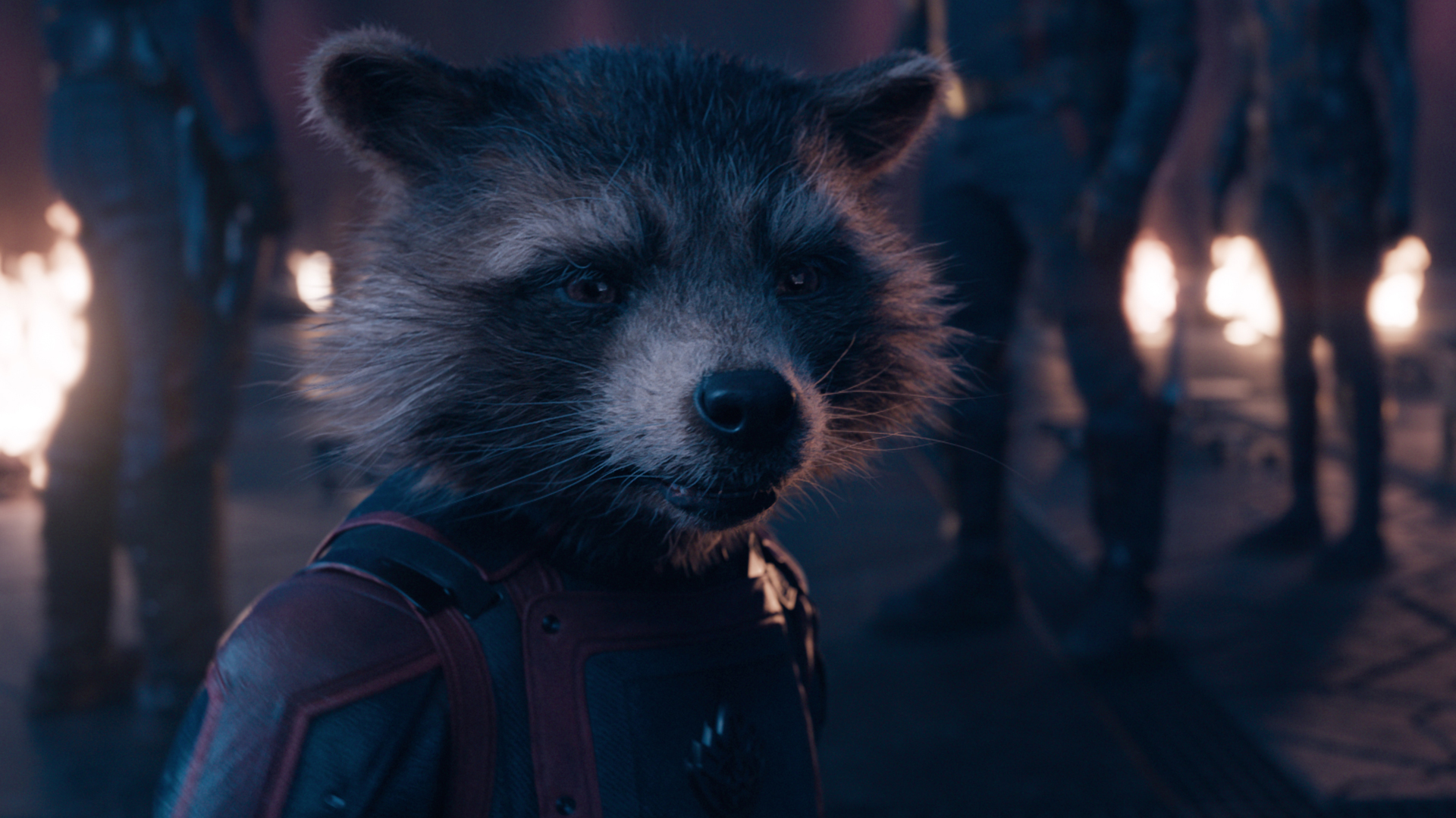 A forlorn Rocket looks at someone off screen in Guardians of the Galaxy 3