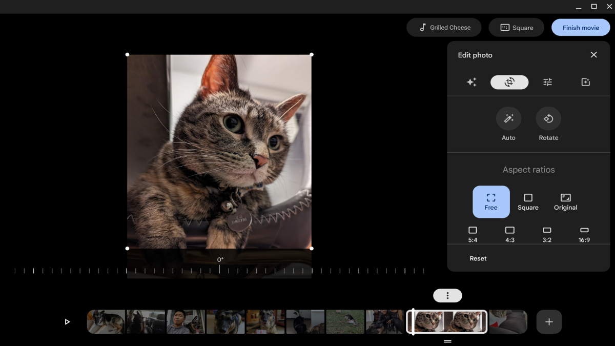 a cat picture being edited using Google Photos