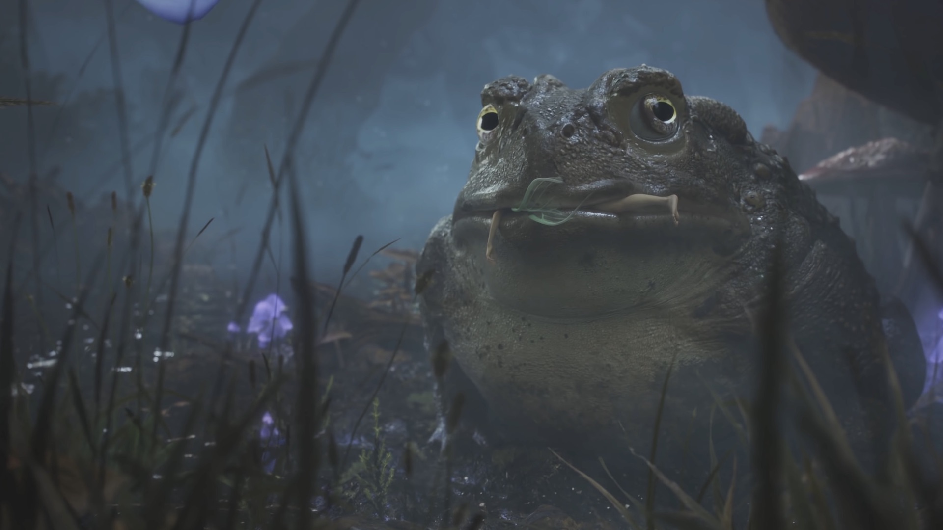 A frog eats a flying princess in Fable